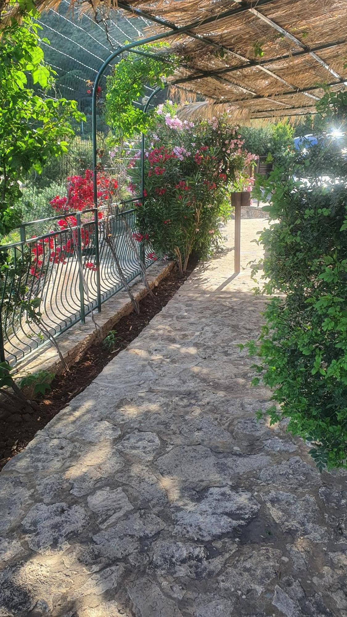 Palma Dello Zingaro Villa Scopello  Kültér fotó